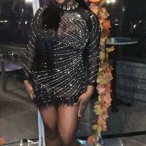 Mesh Sheer Bodycon Long Sleeve Mini Dress